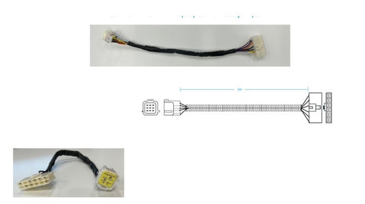 DISPLAY HARNESS FOR 10INCH TOUCHSCREEN - ANTHEM / ANTHEM PRO/PEAK